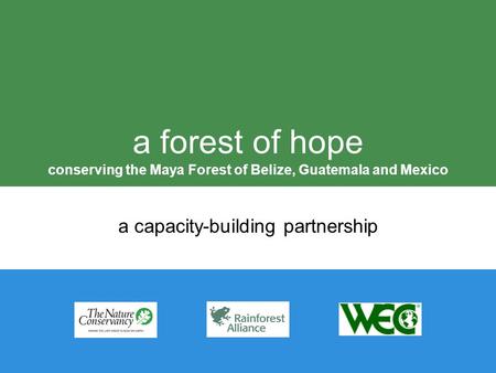 A forest of hope conserving the Maya Forest of Belize, Guatemala and Mexico a capacity-building partnership.