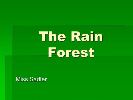 The Rain Forest Miss Sadler.