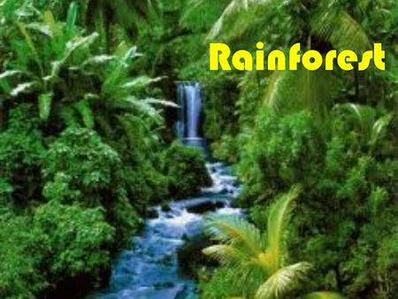 Rainforest Rainforest is located near the equator. In Rainforest is really hot and rains a lot. Rainforest has four layers they are Forest Floor, Understory.