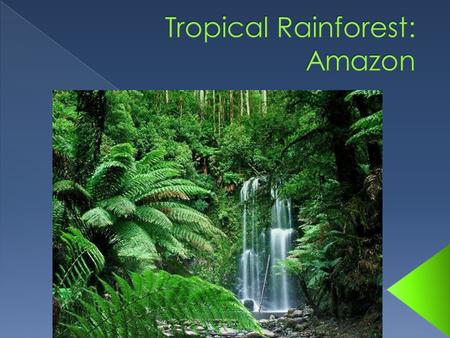 My biome is a Tropical Rainforest is a forest filled with trees and has year round warmth. Yearly rainfall is 50 to 260 inches and temperatures are usually.