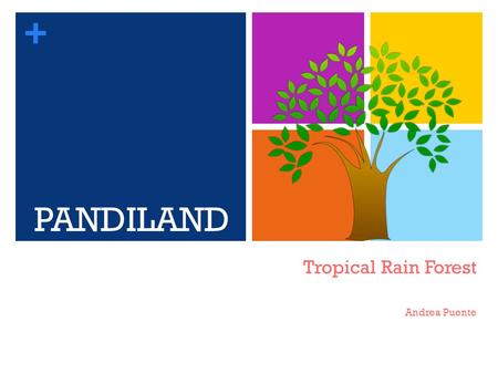 + Tropical Rain Forest Andrea Puente PANDILAND. + Producers Bannana Tree Coconut tree Bamboo.