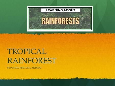 TROPICAL RAINFOREST BY:NADIA, MICHACL,ARTURO. WHERE ARE TROPICAL RAINFOREST’S? They are found They are found In South America,Asia and Africa. They are.