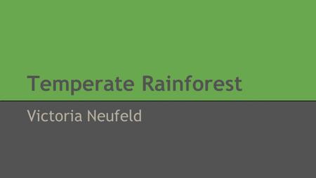 Temperate Rainforest Victoria Neufeld.