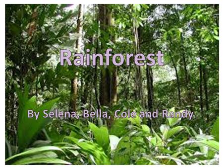 Table of Contents Introducing the biome3 Map of the rainforest biomes4 Rainforest Animals5 Rainforest Plants6 People of the Rainforest8.