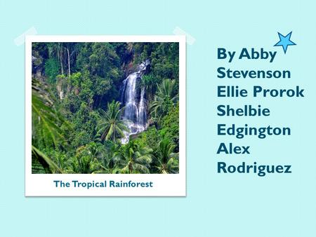 The Tropical Rainforest By Abby Stevenson Ellie Prorock Alejandra Rodriguez and Shelbie Edgington By Abby Stevenson Ellie Prorok Shelbie Edgington Alex.