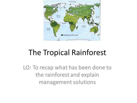 The Tropical Rainforest LO: To recap what has been done to the rainforest and explain management solutions.