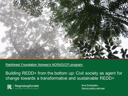 Rainforest Foundation Norway‘s NORAD/CFI program: Building REDD+ from the bottom up: Civil society as agent for change towards a transformative and sustainable.