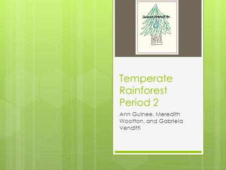 Temperate Rainforest Period 2 Ann Guinee, Meredith Wootton, and Gabriela Venditti.