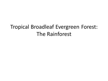 Tropical Broadleaf Evergreen Forest: The Rainforest.