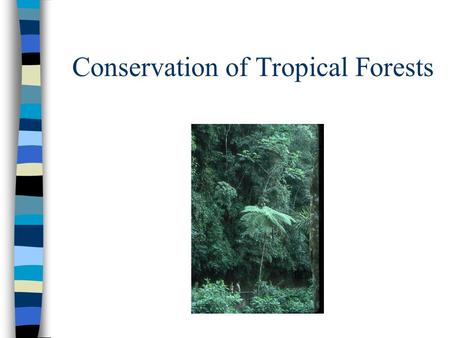 Conservation of Tropical Forests. Veranda AWNC in T&T.