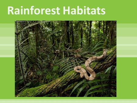  Tropical forests are characterized by the greatest diversity of species. They occur near the equator. Because the equator is evenly heated by the sun,