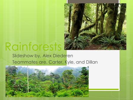 Rainforests Slideshow by, Alex Diederen Teammates are, Carter, Kyle, and Dillan.