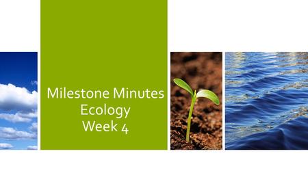 Milestone Minutes Ecology Week 4. Organisms are dependent on one another within an ecosystem. Species – one specific type of organism, individual Population.