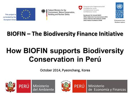BIOFIN – The Biodiversity Finance Initiative How BIOFIN supports Biodiversity Conservation in Perú October 2014, Pyeonchang, Korea.