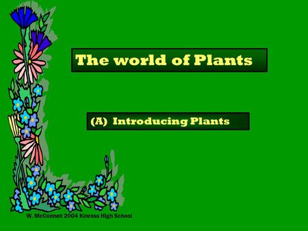 W. McConnell 2004 Kinross High School The world of Plants (A) Introducing Plants.