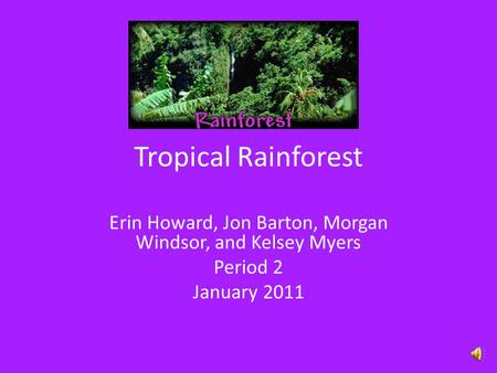 Tropical Rainforest Erin Howard, Jon Barton, Morgan Windsor, and Kelsey Myers Period 2 January 2011.