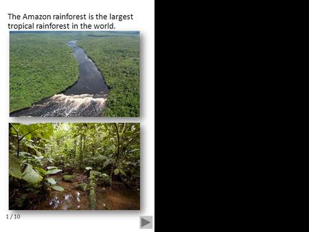 The Amazon rainforest is the largest tropical rainforest in the world. 1 / 10.