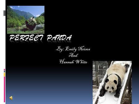 By: Emily Neises And Hannah White Our Base animal  Our base animal is a panda.  Pandas are animals with white and black fur.  Pandas are endangered.