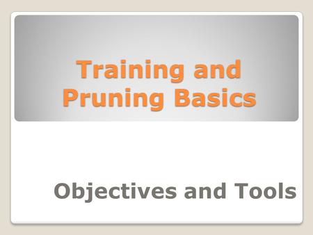 Training and Pruning Basics Objectives and Tools.