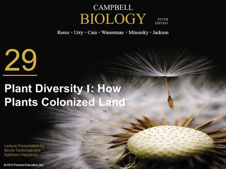29 Plant Diversity I: How Plants Colonized Land