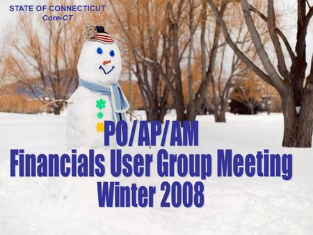 AP/PO/AM User Group Winter 2008 STATE OF CONNECTICUT Core-CT.