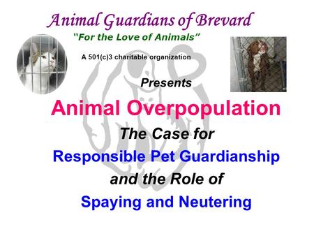 Animal Guardians of Brevard “For the Love of Animals” A 501(c)3 charitable organization Presents Animal Overpopulation The Case for Responsible Pet Guardianship.