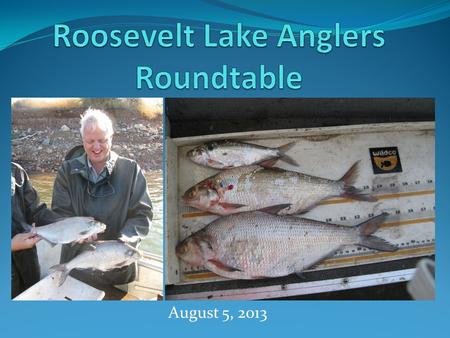 August 5, 2013. Topics to be Discussed Brief history of gizzard shad in Roosevelt Prior survey results Confounding issues Key findings from UT surveys.