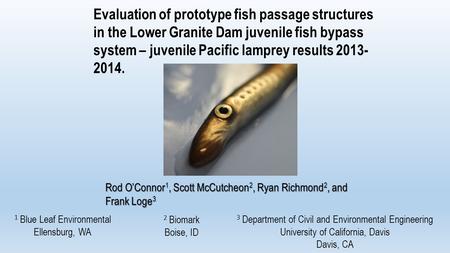 Evaluation of prototype fish passage structures in the Lower Granite Dam juvenile fish bypass system – juvenile Pacific lamprey results 2013- 2014. Rod.