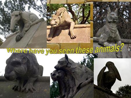  We will:  Discover the history of animal gargoyles and the Animal Wall in Cardiff  Learn about Welsh artists who have created gargoyle drawings and.