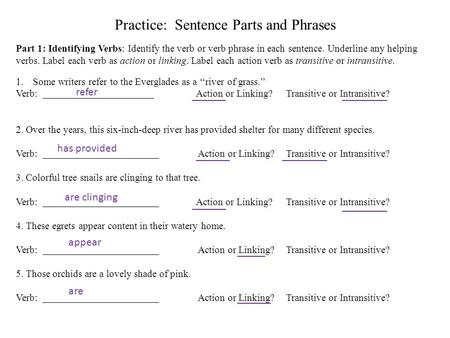 Practice: Sentence Parts and Phrases Part 1: Identifying Verbs: Identify the verb or verb phrase in each sentence. Underline any helping verbs. Label each.