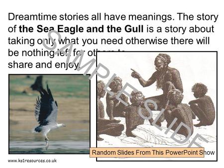 Www.ks1resources.co.uk Dreamtime stories all have meanings. The story of the Sea Eagle and the Gull is a story about taking only what you need otherwise.