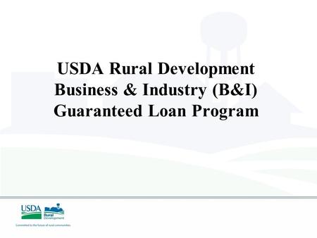 USDA Rural Development Business & Industry (B&I) Guaranteed Loan Program.