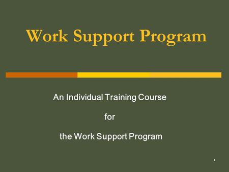 1 Work Support Program An Individual Training Course for the Work Support Program.