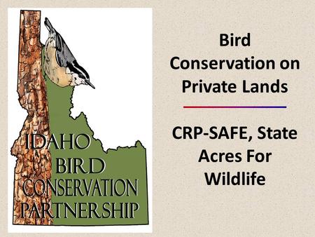 Bird Conservation on Private Lands CRP-SAFE, State Acres For Wildlife.