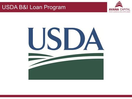 USDA B&I Loan Program.