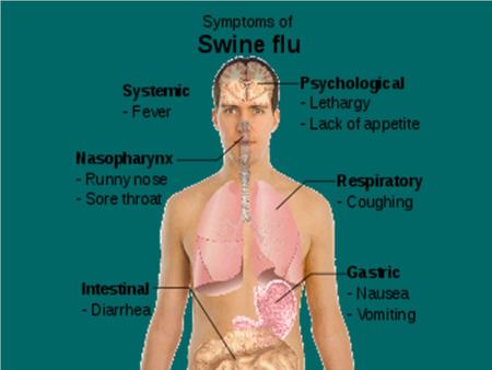 DIAGNOSIS OF SWINE FLU FFFFor diagnosis of swine influenza a infection, respiratory specimen would generally need to be collected within the first.