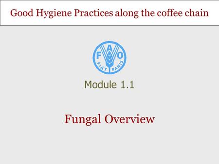 Good Hygiene Practices along the coffee chain Fungal Overview Module 1.1.