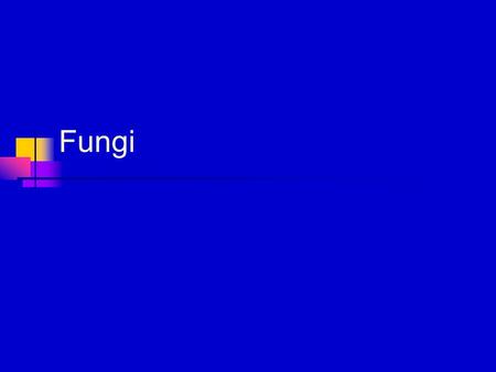 Fungi. Basic characteristics of Fungi Eukaryotic Multicellular (except yeast) Heterotrophic Mode of nutrition: absorbtive Secrete hydrolytic enzymes Digestion.