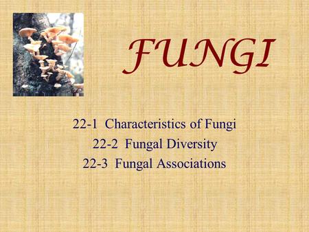 22-1 Characteristics of Fungi