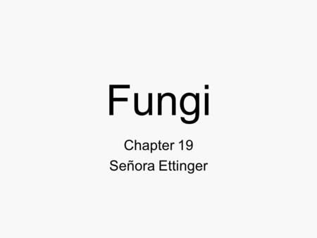 Chapter 19 Señora Ettinger