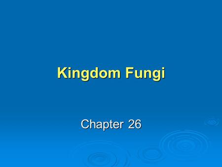 Kingdom Fungi Chapter 26.