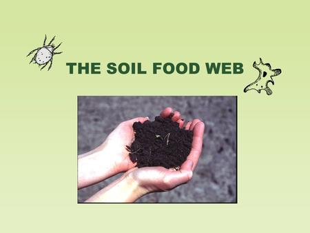 THE SOIL FOOD WEB. Soil Biology and the Landscape.