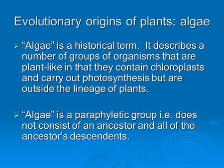Evolutionary origins of plants: algae
