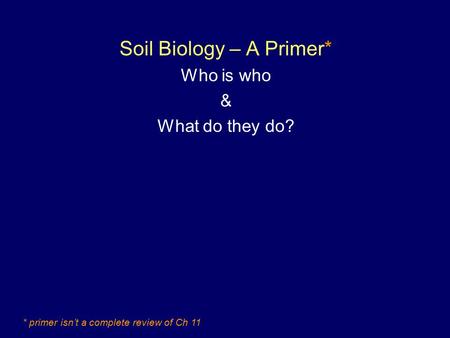 Soil Biology – A Primer* Who is who & What do they do? * primer isn’t a complete review of Ch 11.
