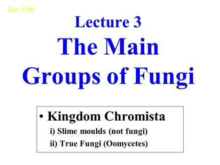 Lecture 3 The Main Groups of Fungi