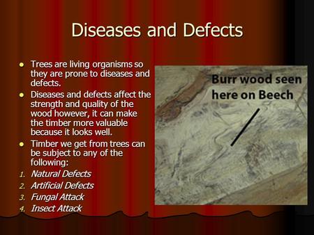 Diseases and Defects Trees are living organisms so they are prone to diseases and defects. Diseases and defects affect the strength and quality of the.