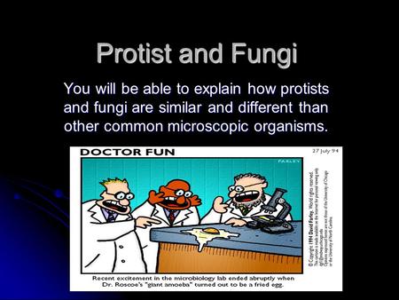 Protist and Fungi You will be able to explain how protists and fungi are similar and different than other common microscopic organisms.