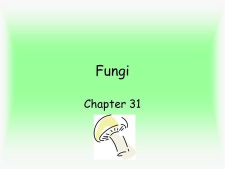 Fungi Chapter 31. Fungi - heterotrophs - eat by absorbing nutrients - by secreting enzymes to outside which digest food around them; fungi absorbs food.