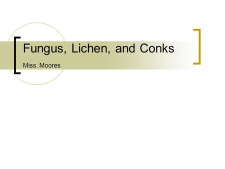 Fungus, Lichen, and Conks Miss. Moores