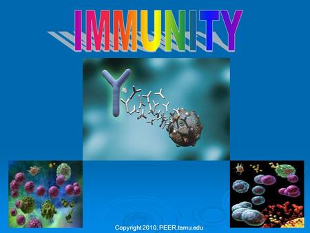 Copyright 2010. PEER.tamu.edu. Immunity – The War Against Infection  Immunity: ability of an organism to resist disease.  Antigen: any substance that.